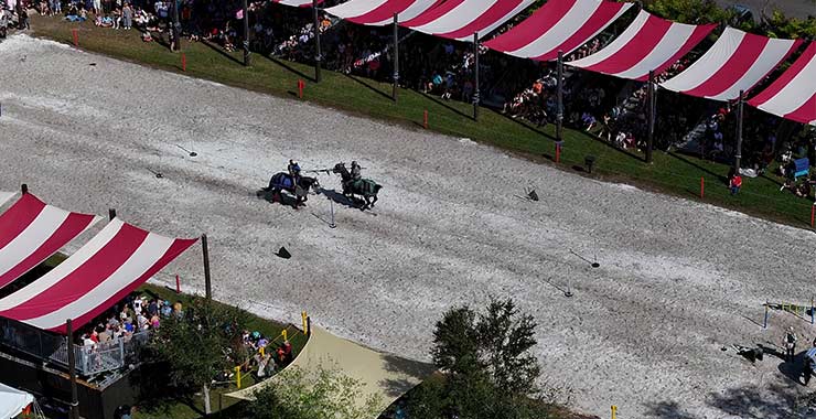 Contactus-Jousting.jpg
